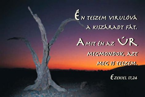 az_ur_kijelentese.jpg